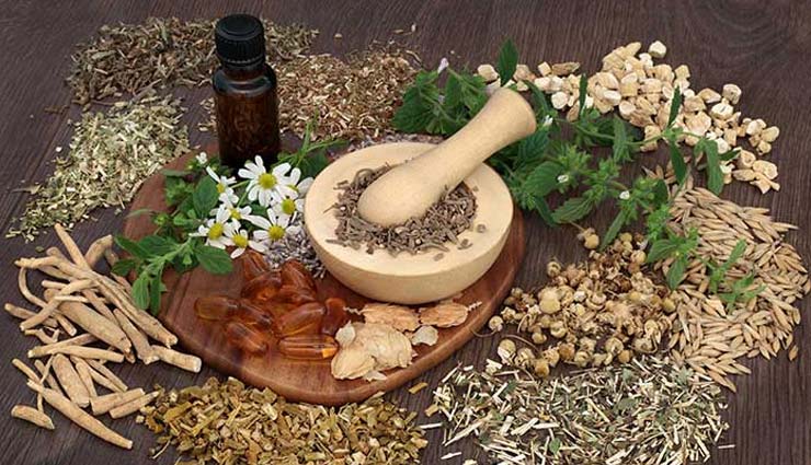 herbs used as natural birth control,natural birth control,Health tips,home remedies,fitness tips,birth control remedies