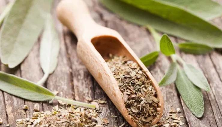 herbs used as natural birth control,natural birth control,Health tips,home remedies,fitness tips,birth control remedies