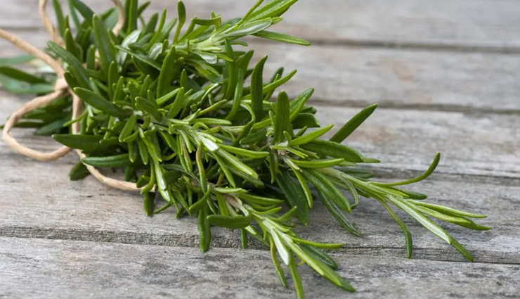 herbs for skin care,best herbs for glowing skin,medicinal herbs for skin,skincare herbs to grow,natural herbs for beauty,homegrown herbs for skin,herbs to grow for skincare,anti-aging herbs for skin,herbal remedies for skin,diy herbal skincare,organic herbs for skin health,fresh herbs for skincare,garden herbs for beauty,natural skincare plants,best herbs for clear skin