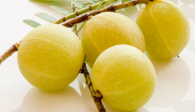 hair loss,home remedies for hair loss,herbs for hair loss,home remedies,hair care tips,beauty tips