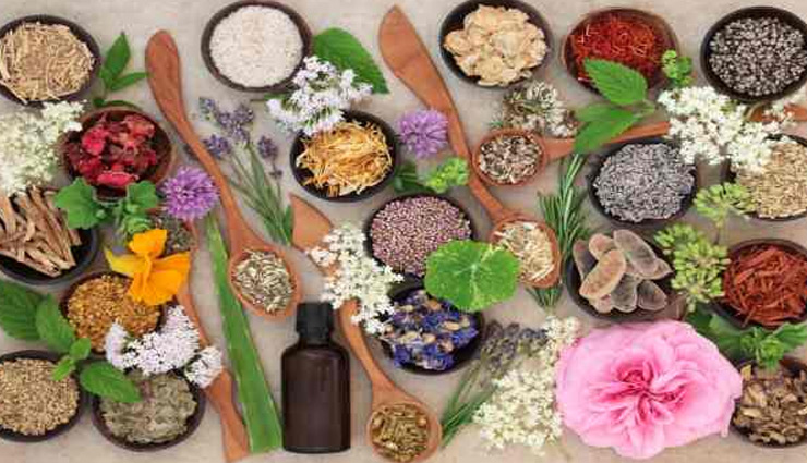 herbs,herbs for skin,beauty tips,skin care tips,beauty,beauty products