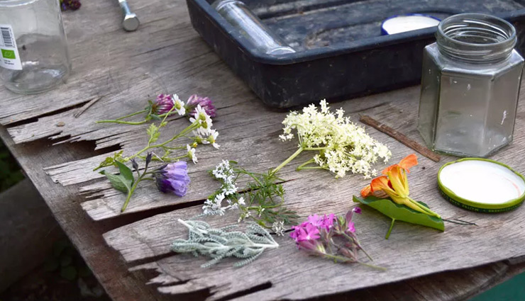 5 Herbs That Are Amazing For Your Skin