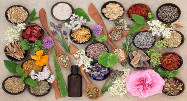 herbs,herbs for skin,skin care tips,beauty tips