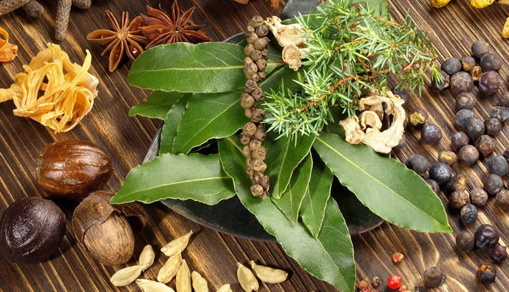 herbs for weight gain,weight gain tips,Health tips,fitness tips,cannabis,chamomile,blessed thistle,gentian,dandelion root