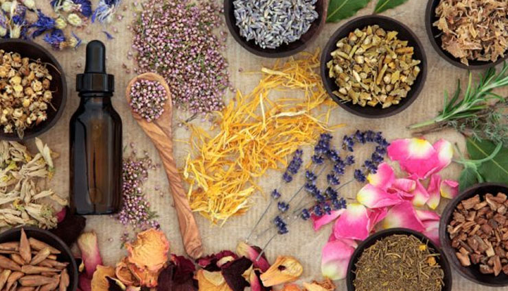 Struggling To Gain Weight? Here are 5 Herbs For You