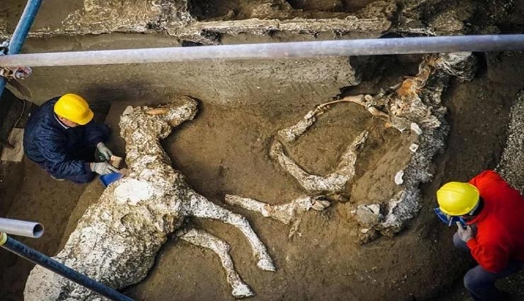 यहां अचानक ही पत्थर बन गए थे सभी इंसान और जानवर, सच्चाई जान कांप उठेगी आपकी रूह weird news,weird incident,people became stone,ancient city,pompeii and herculaneum