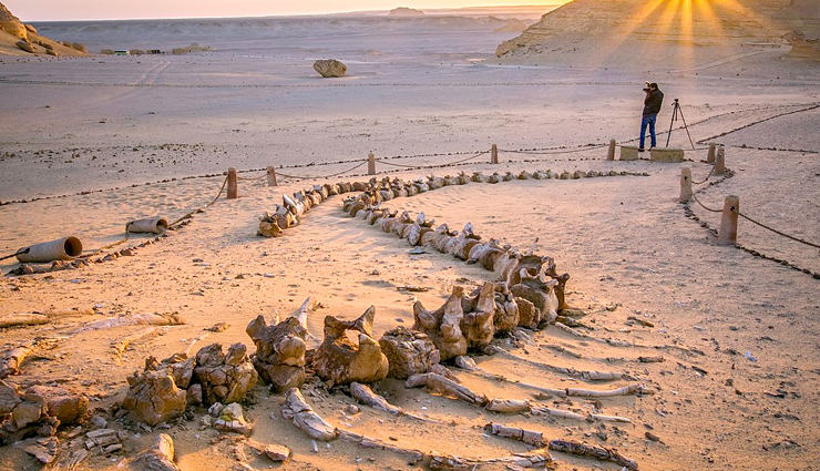 least known heritage sites,heritage sites around the world,wudang building complex,wadi al-hitan,tropical rainforest sumatra,lascaux cave,takht-e jamshid,fossil hominid sites of sterkfontein