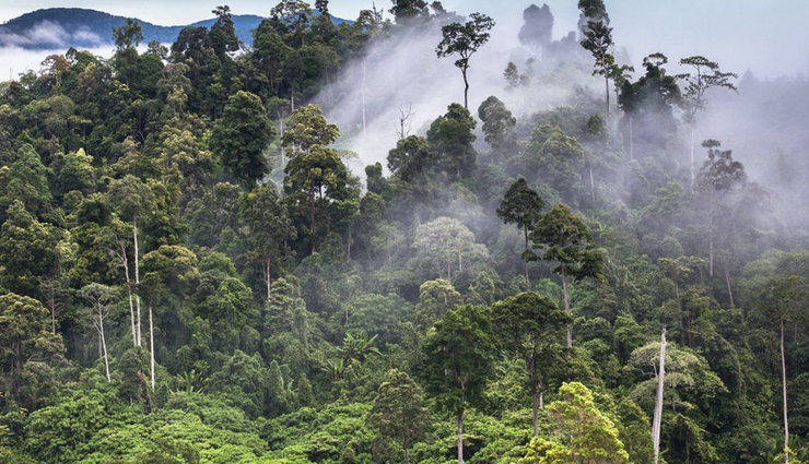 least known heritage sites,heritage sites around the world,wudang building complex,wadi al-hitan,tropical rainforest sumatra,lascaux cave,takht-e jamshid,fossil hominid sites of sterkfontein