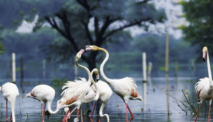 unesco world heritage sites,unesco world heritage sites in india,india,places to visit in india