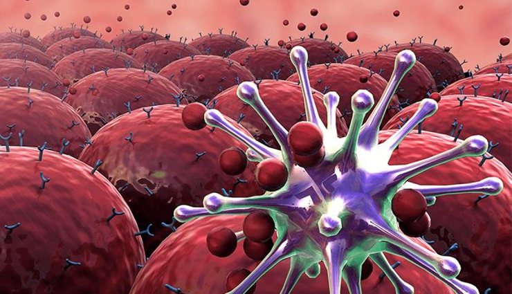 hibiscus,health benefits of hibiscus health tips,fitness tips