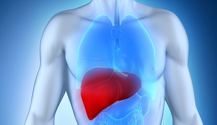 hibiscus,health benefits of hibiscus health tips,fitness tips