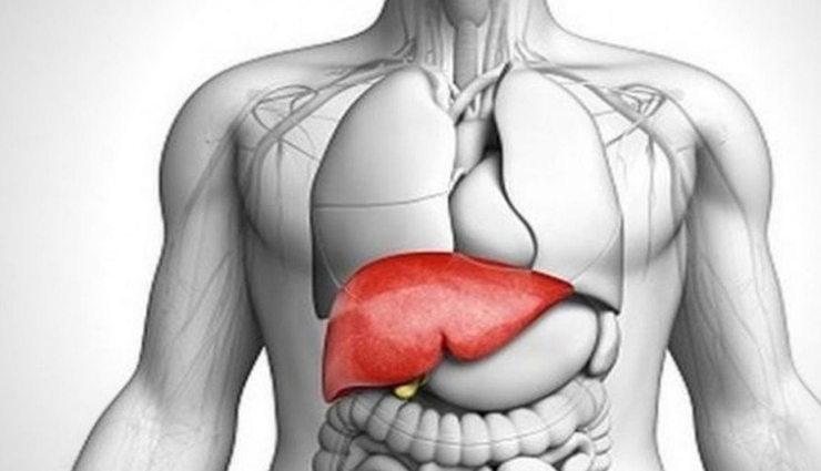 hibiscus tea health benefits,drinking hibiscus tea advantages,health perks of hibiscus tea,hibiscus tea for wellness,benefits of consuming hibiscus tea,hibiscus tea amazing effects,immune-boosting hibiscus tea,antioxidants in hibiscus tea,hibiscus tea for heart health,hibiscus tea and blood pressure,hibiscus tea for weight loss,hibiscus flower tea benefits,digestive health with hibiscus tea,hibiscus tea anti-inflammatory effects,hibiscus tea and cholesterol,hibiscus tea antioxidants,hibiscus tea and skin health,hibiscus tea calming properties,hibiscus tea for hydration,hibiscus tea and liver health