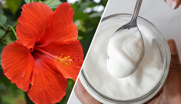 clove water for hair,hair care with clove water,benefits of clove water for hair,clove water properties,stimulate hair growth with clove water,clove water and hair loss prevention,clove water for hair health,clove water for dandruff,clove water for scalp infections,clove water for head lice treatment,clove water for hair strength,clove water for premature graying,side effects of clove water,using clove water for hair growth,clove water and reetha hair cleansing,clove water and honey hair conditioner,clove water avocado and rosemary oil hair growth mask,clove water hibiscus and yogurt hair conditioning mask,clove water and aloe vera leave-in conditioner,clove water and methi hair mist,preparing clove water at home,diy clove water,homemade clove water,how to make clove water,clove water recipe for hair