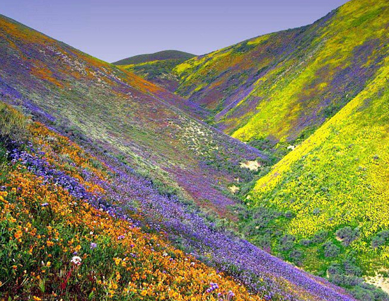 5 Hidden Treasures of India You Must Visit