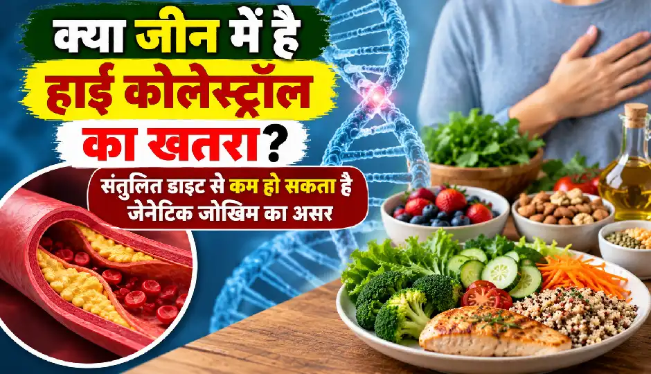 क्या जीन में है हाई कोलेस्ट्रॉल का खतरा? संतुलित डाइट से कम हो सकता है जेनेटिक जोखिम का असर