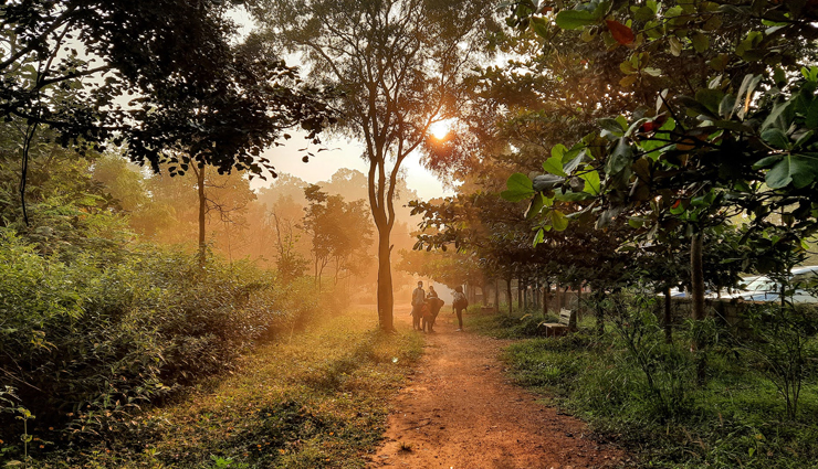 places for hikers,hikers destination in india,india,hiking places,adventurous places in india,avahalli forest loop,chembra peak,kerala,sunset point narhe loop,deoria tal and chandrashila trek,uttarakhand,goecha la trek,sikkim