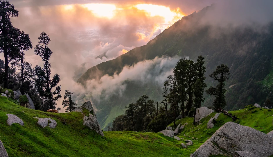 'भीड़भाड़ से दूर, सुकून के करीब'—नए साल 2026 को यादगार बनाने के लिए भारत की 5 शांत और खूबसूरत जगहें