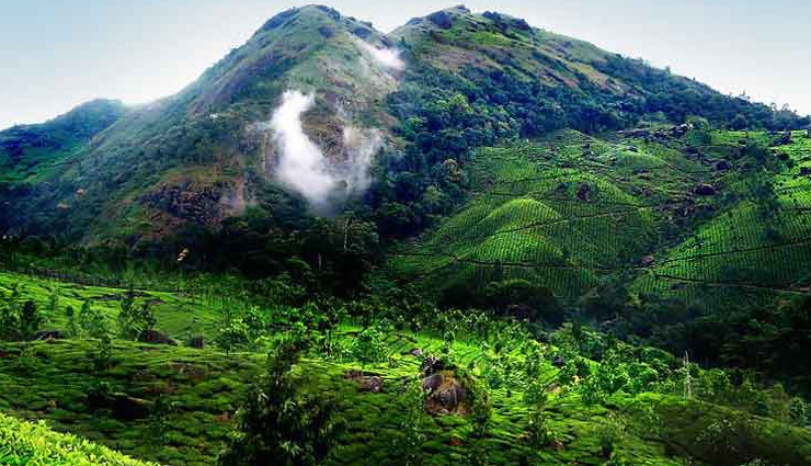 5 Must Visit Hill Stations Of Kerala Lifeberrys 5 Must Visit Hill Stations Of Kerala Lifeberrys
