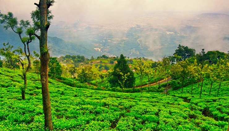 breathtaking hill stations in south india,hill stations in south india for couples,honeymoon destinations in south india,munnar,ooty,idukki,kodaikanal,coorg