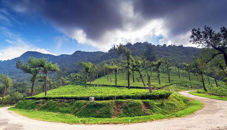5 Amazing Hill Stations To Visit in Tamil Nadu