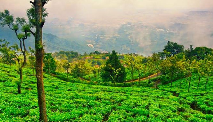 tamil nadu,hill stations of tamil nadu,hill stations,ooty,kodaikanal,yercaud,coonoor,kolli hills