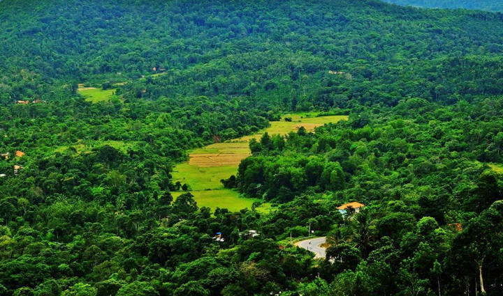 south india hill stations,must-visit hill stations,south india travel destinations,hill station holidays,explore south india,tourism in south india,best hill stations to visit,south india vacation spots,travel guide for hill stations,hill station tourism in south india,south india holiday destinations,travel tips for hill stations,south india tourism attractions,hill station travel experiences,top hill stations in south india