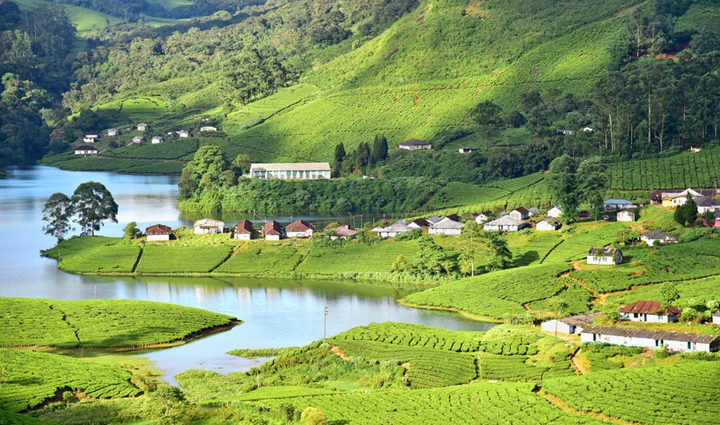 south india hill stations,must-visit hill stations,south india travel destinations,hill station holidays,explore south india,tourism in south india,best hill stations to visit,south india vacation spots,travel guide for hill stations,hill station tourism in south india,south india holiday destinations,travel tips for hill stations,south india tourism attractions,hill station travel experiences,top hill stations in south india