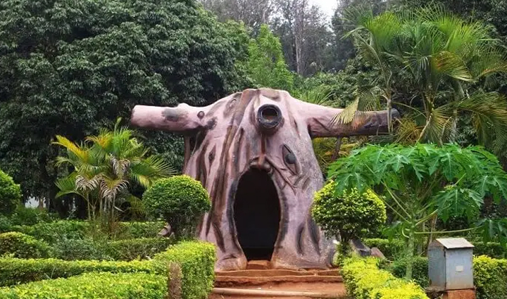 south india hill stations,must-visit hill stations,south india travel destinations,hill station holidays,explore south india,tourism in south india,best hill stations to visit,south india vacation spots,travel guide for hill stations,hill station tourism in south india,south india holiday destinations,travel tips for hill stations,south india tourism attractions,hill station travel experiences,top hill stations in south india