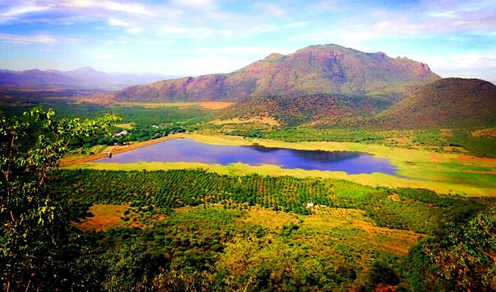 south india hill stations,must-visit hill stations,south india travel destinations,hill station holidays,explore south india,tourism in south india,best hill stations to visit,south india vacation spots,travel guide for hill stations,hill station tourism in south india,south india holiday destinations,travel tips for hill stations,south india tourism attractions,hill station travel experiences,top hill stations in south india