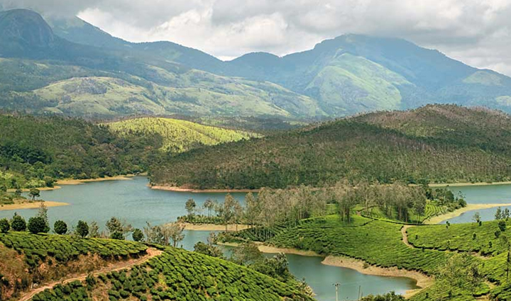 south india hill stations,must-visit hill stations,south india travel destinations,hill station holidays,explore south india,tourism in south india,best hill stations to visit,south india vacation spots,travel guide for hill stations,hill station tourism in south india,south india holiday destinations,travel tips for hill stations,south india tourism attractions,hill station travel experiences,top hill stations in south india