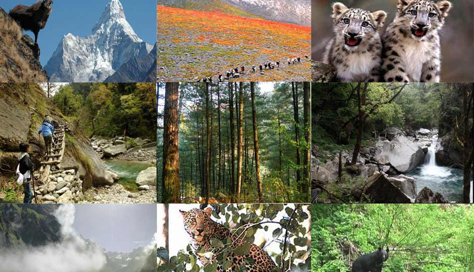 10 Wildlife National Parks To Visit in Himachal Pradesh