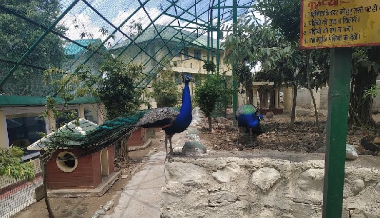 must visit places in shimla,shimla attractions,top places shimla,shimla tourism,kali bari temple,jakhoo hill,christ church shimla,mall road shimla,viceregal lodge,shimla travel guide,shimla hill station,himachal pradesh tourism,shimla sightseeing,things to do in shimla,best places in shimla.