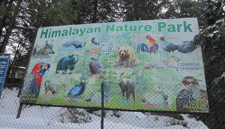 kufri attractions,kufri adventure activities,himalayan nature park,hiking in kufri,tobogganing in kufri,ziplining in kufri,shopping in kufri,horse riding in kufri,skiing in kufri,yak rides in kufri,kufri fun world,himachal pradesh tourism,snow sports in kufri,mahasu peak trek,green valley adventures