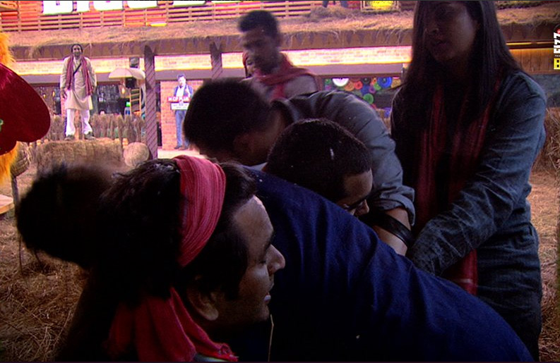 bigg boss 11,Salman Khan,bb poultry farm task,captaincy task,vikas gupta,shilpa shide,akash,hina khan,luv tyagi,priyank,tv show,tv news,bigg boss news