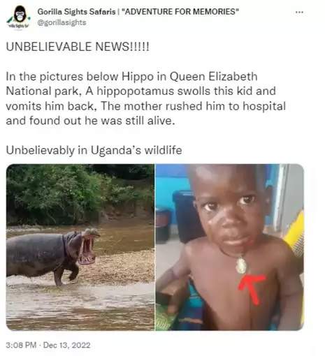 hippo,hippo swallow 2 years old kid,uganda