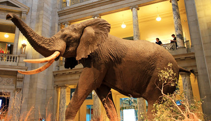 musems,famous musems in delhi,delhi musems,musems to visit in delhi,delhi tourism,tourist places in delhi,delhi holidays,delhi travel