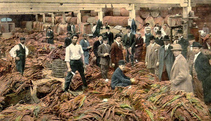 history of tobacco,world no tobacco day 2018,tobacco