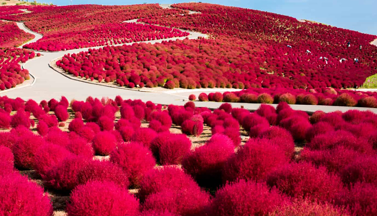 एक नजर भारत के गुलाबी रंग से सरोबार जयपुर के अतिरिक्त दुनिया के दूसरे स्वप्निल गुलाबी गंतव्य पर pink destinations around the world,explore the pink travel spots,best pink-themed travel destinations,pretty in pink travel guide,pink landmarks worldwide,uncover the beauty of pink destinations,pink travel bucket list,pink vacation spots around the globe,pink travel experiences,rose-colored travel adventures,pink architecture and landmarks,pink cities and towns to visit,pink travel ideas and inspiration,instagram-worthy pink places to travel,embrace the pink travel trend