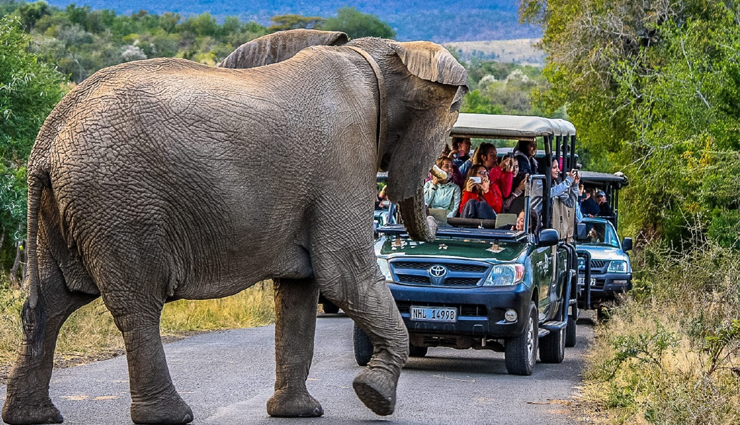 south africa destinations,popular places in south africa,must-visit destinations in south africa,top tourist spots in south africa,south africa travel guide,best places to visit in south africa,south africa tourism,famous landmarks in south africa,south africa sightseeing,top attractions in south africa