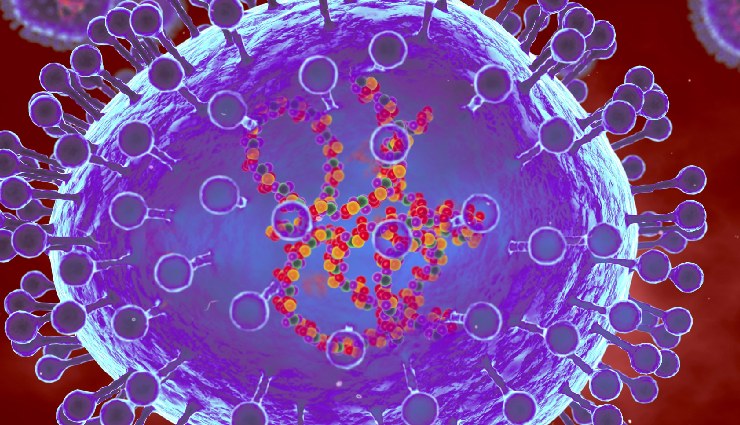 भारत में Human Metapneumovirus (HMPV) वायरस का पहला मामला, आठ महीने का बच्चा संक्रमित