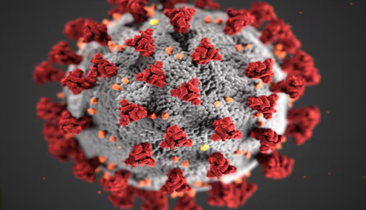 राजस्थान में पिछले वर्ष ही दस्तक दे चुका था HMPV वायरस, कोटा में मिला था पहला मरीज