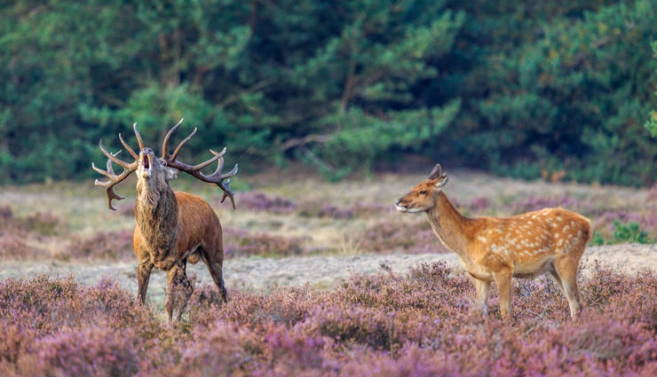 tourist destinations in the netherlands,must-see places in the netherlands,top tourist attractions netherlands,best places to visit in the netherlands,netherlands travel highlights,famous landmarks in the netherlands,dutch tourist spots,explore the netherlands,hidden gems in the netherlands,netherlands travel guide