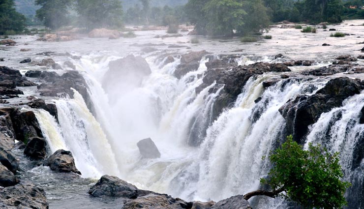 5 most beautiful waterfalls in tamilnadu,monkey waterfalls,bear shola falls,silver cascade,siruvani waterfalls,hogenakkal falls