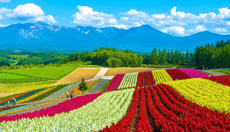 honeymoon destinations asia,maldives honeymoon,bali honeymoon,phuket honeymoon,kyoto honeymoon,langkawi honeymoon,kerala honeymoon,dubai honeymoon,sri lanka honeymoon,hokkaido honeymoon,palawan honeymoon,singapore honeymoon,sapa honeymoon,koh samui honeymoon,jeju island honeymoon,kashmir honeymoon,romantic getaways asia,honeymoon spots asia,luxury honeymoons asia