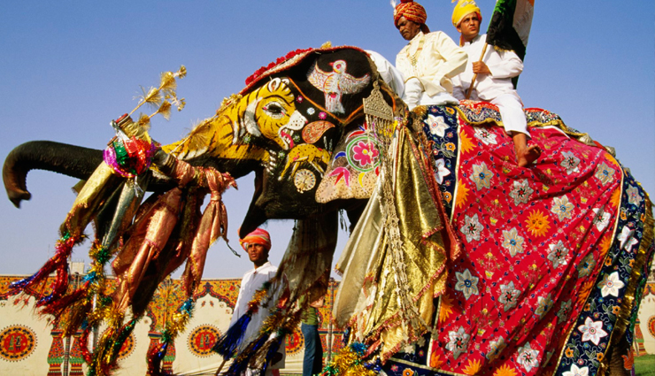 holi,holi celebration jaipur,jaipur holi celebration,travel,holidays