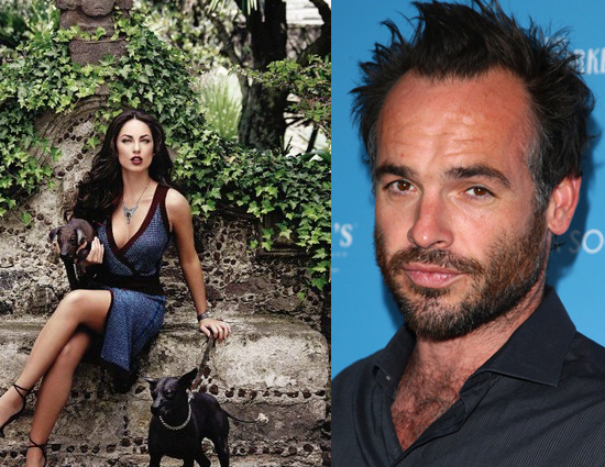 इन हॉलीवुड सितारों ने किया है बॉलीवुड में काम 