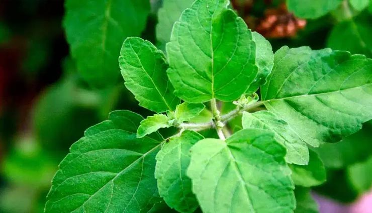 अचानक उठी सीने में जलन देती है असहनीय पीड़ा, इन घरेलू उपचार की मदद से करें इसे शांत acidity,tips to get rid of acidity,acidity problem,home remedies for acidity,Health,Health tips,health tips hindi