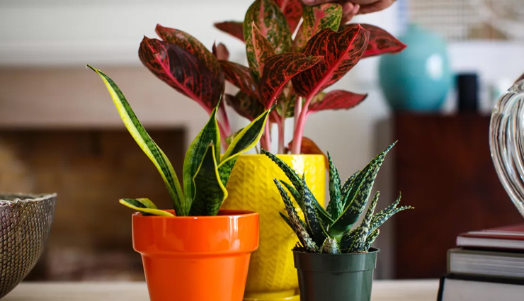 ways to bring peace home,peace at home,peaceful environment at home,mates and me,relationship tips,bringing peace at home