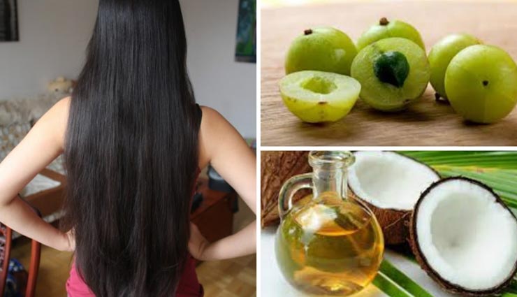 beauty tips,beauty tips in hindi,home remedies,home remedies to get straight hair,hair care tips
