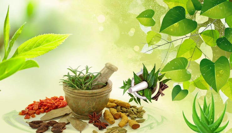 दादी-नानी के ये नुस्खें रखते हैं आपको स्वस्थ, विज्ञान भी मानता हैं इनकी ताकत